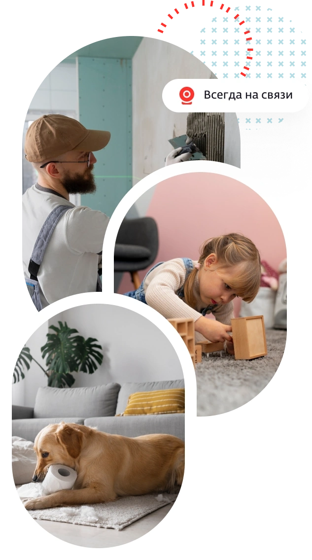 Проверяйте, как дела с экрана смартфона